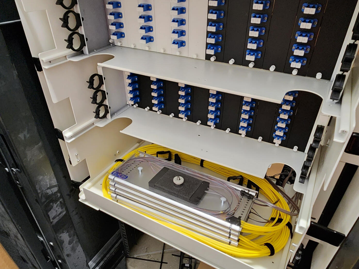 AI-Scale Fiber Network Services